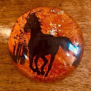 VTG beautiful black Stallion paper weight.